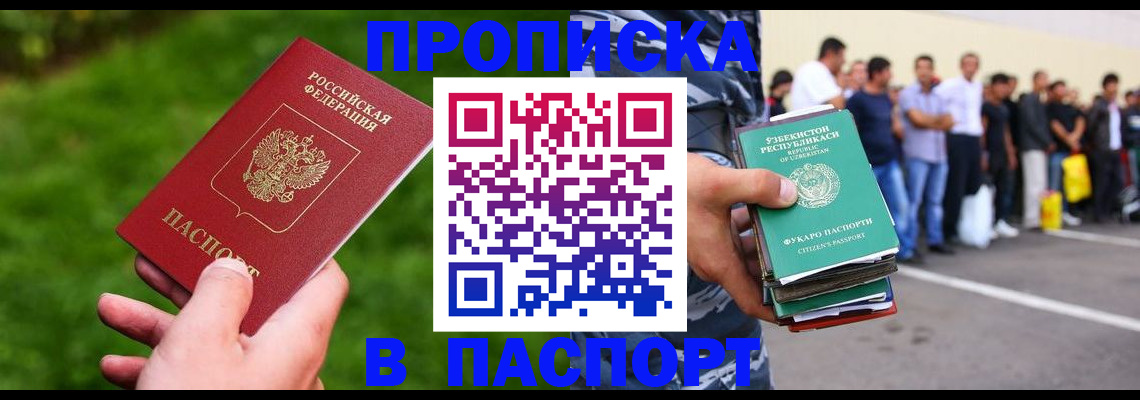 временная регистрация для всех в Курчалом